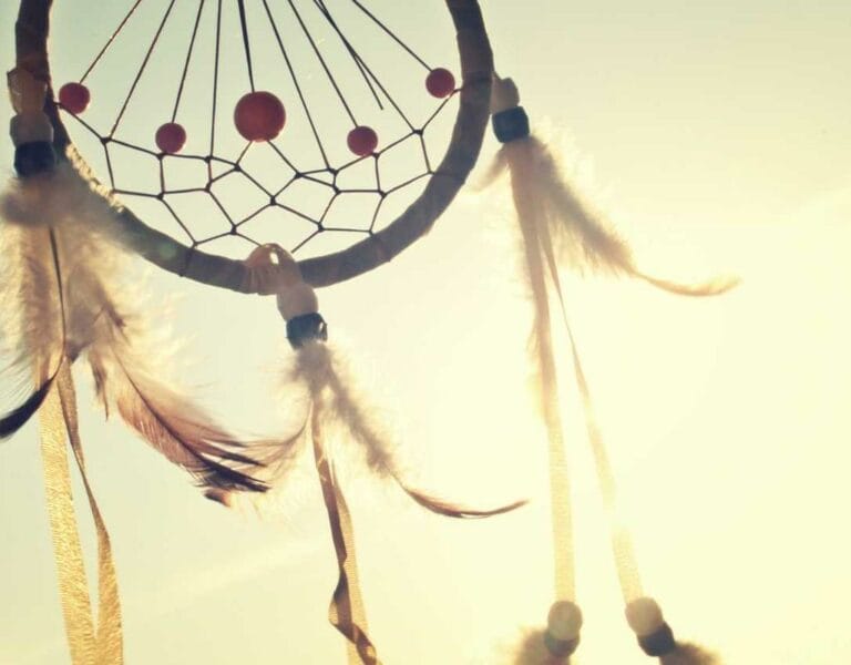 Picsum id: 104